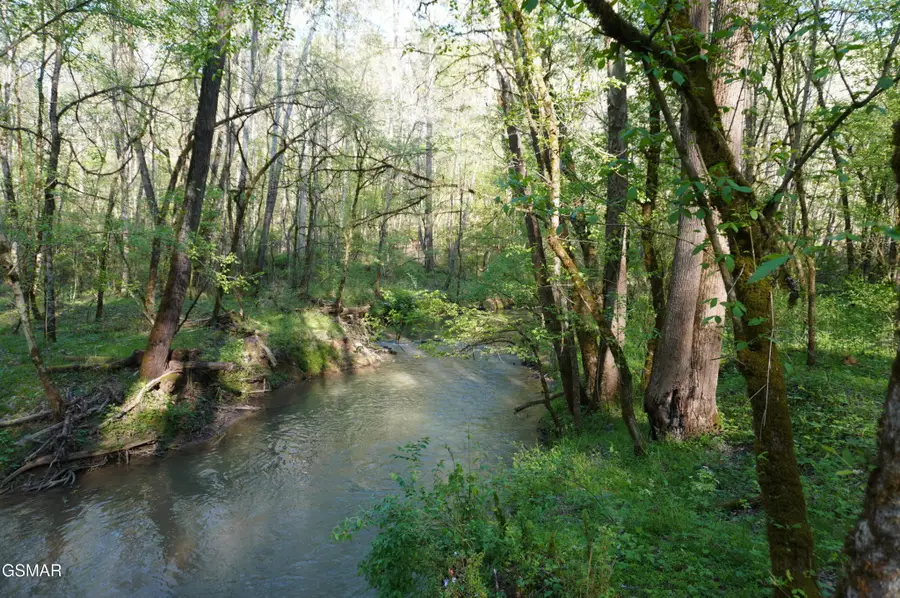 12 Golf Course Road, Newport, TN 37821 - #3