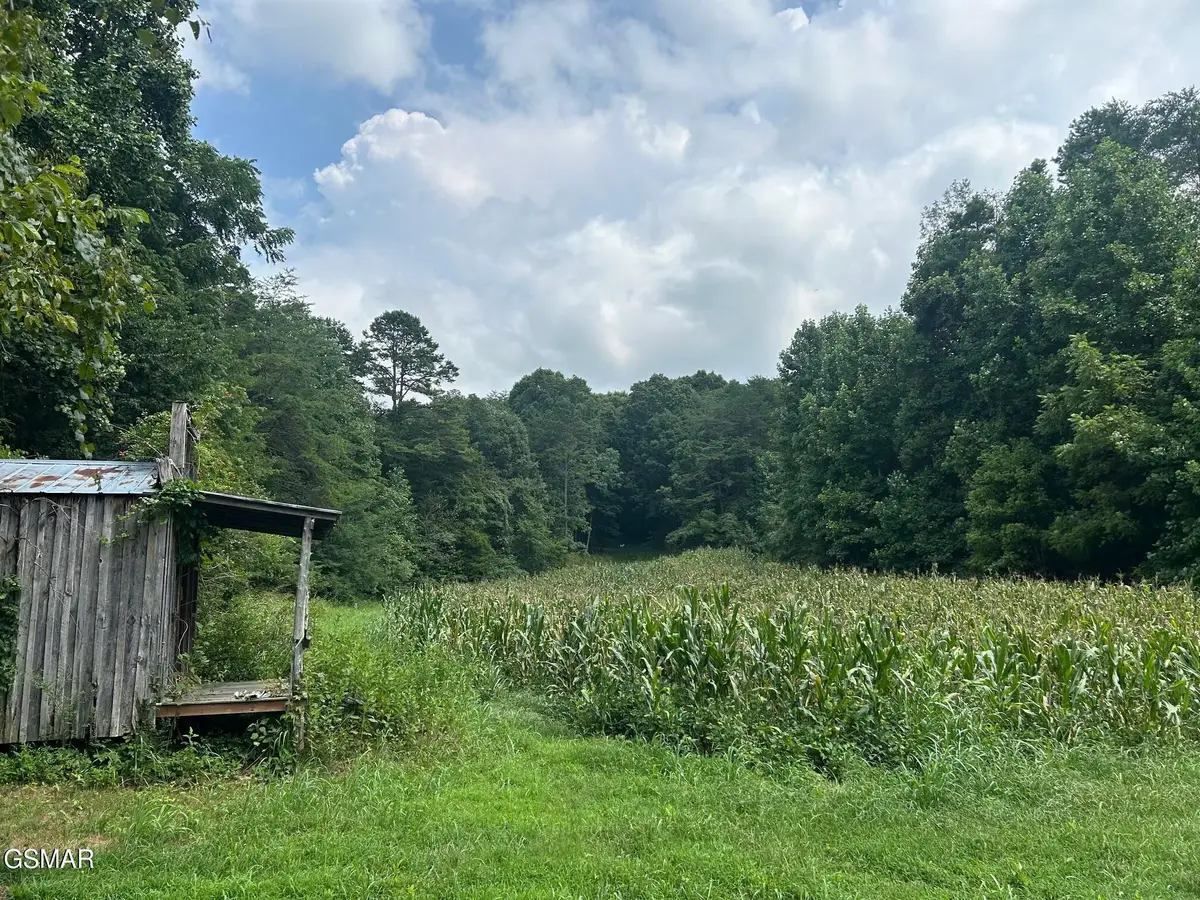 17 Pleasant View Cemetery Road, New Market, TN 37820 - #1