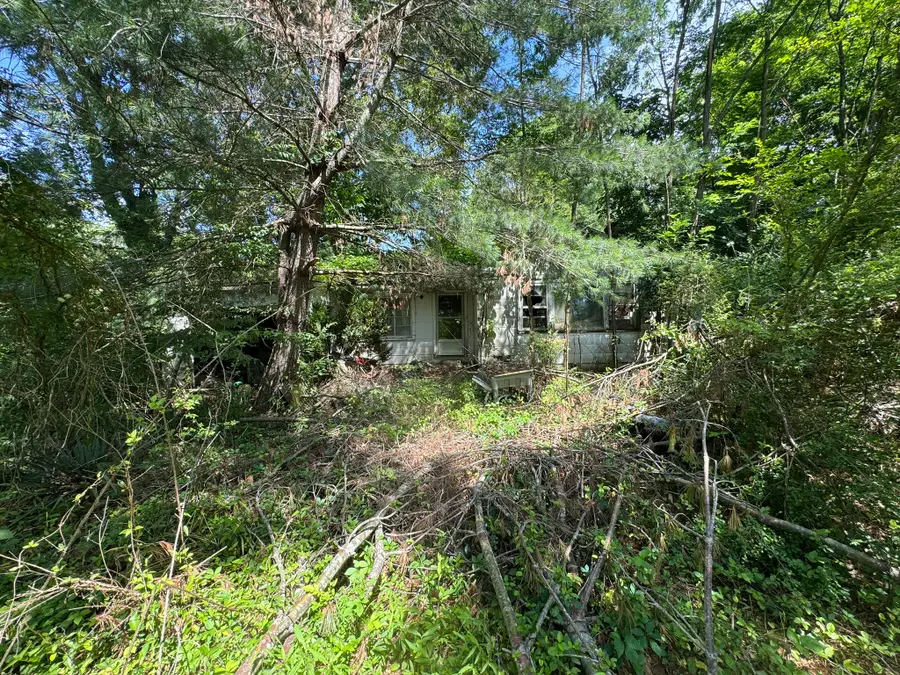 9108 Hwy 20, Summertown, TN 38483 - #3