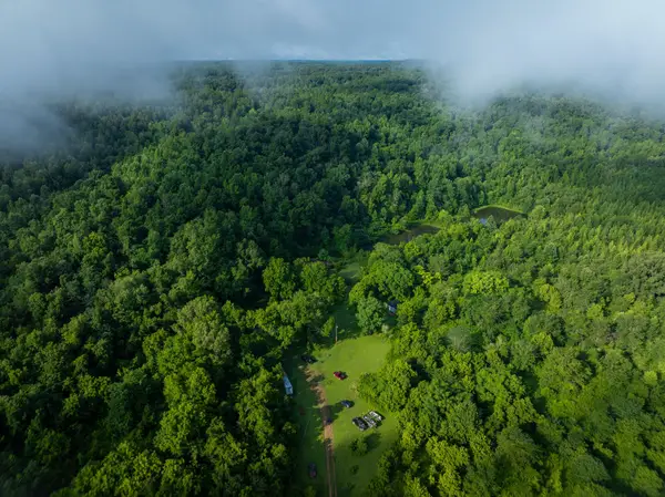 1765 Old Cedar Creek Rd, Linden, TN 37096