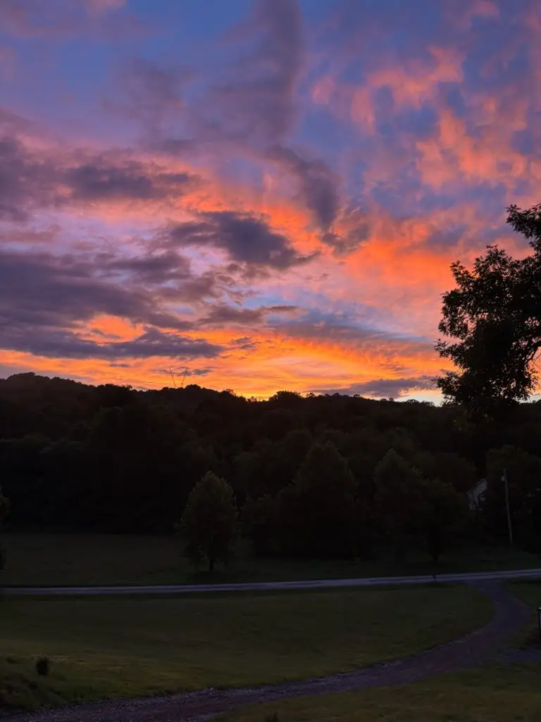 256 Enigma Rd, Chestnut Mound, TN 38552 - #2
