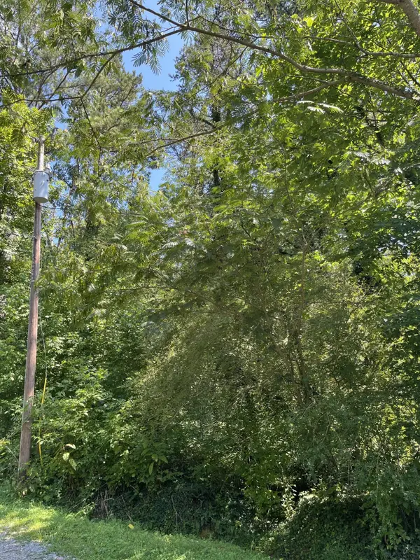 0 Melba Drive, Trion, GA 30753