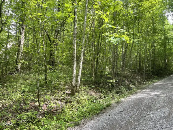 4 Walden Flats Way, Sevierville, TN 37862