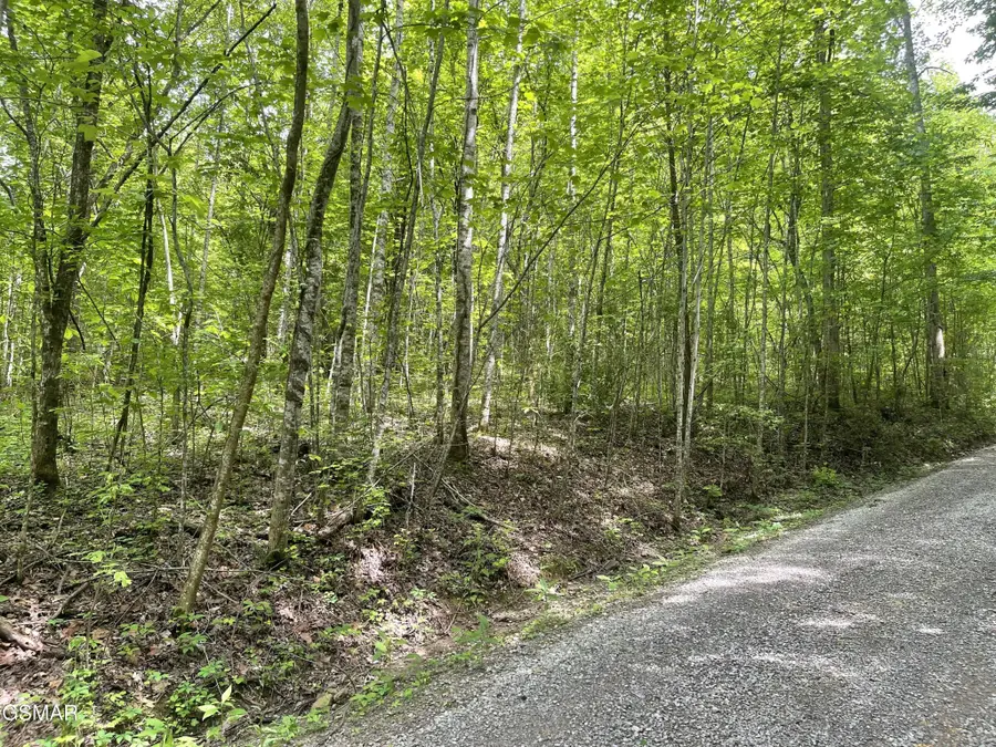 4 Walden Flats Way, Sevierville, TN 37862 - #2
