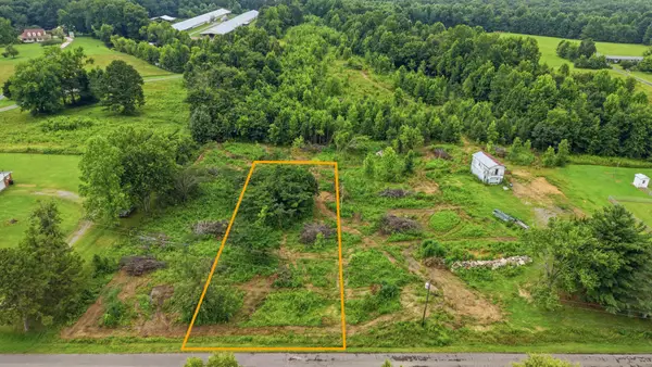 309 County Road 315, Bryant, AL 35958
