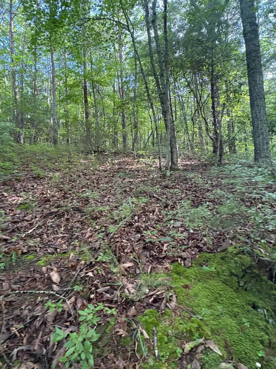 2 Old Furnace Road, Tellico Plains, TN 37385 - #3