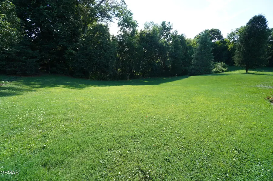 427 Christie Lane, Jefferson City, TN 37760 - #3