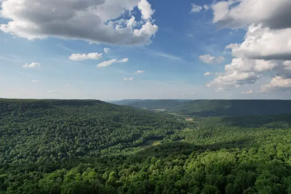 3 Blackberry Road, Beersheba Springs, TN 37305