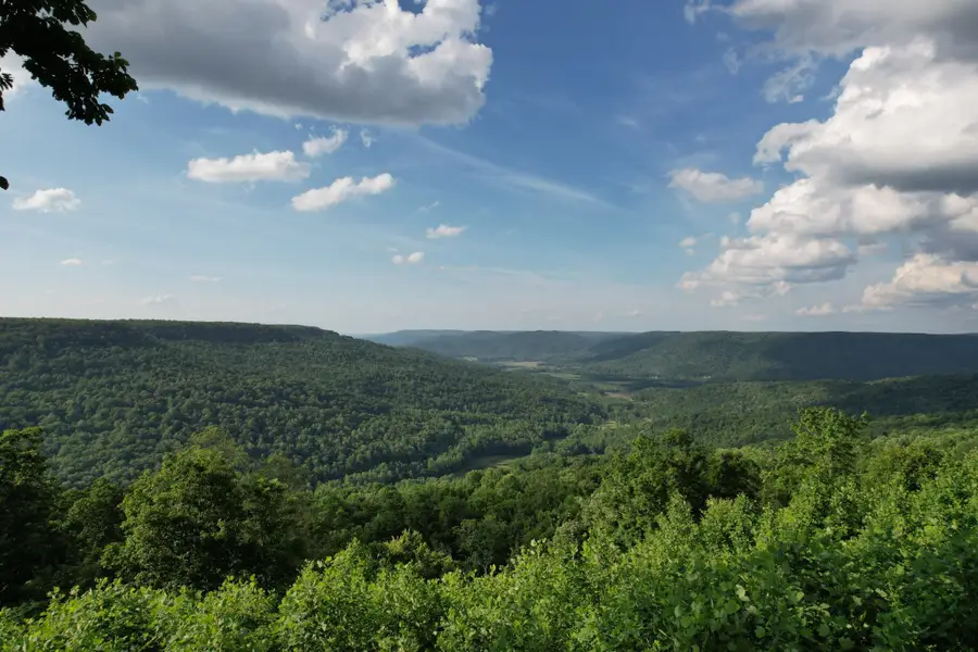 3 Blackberry Road, Beersheba Springs, TN 37305 - #2