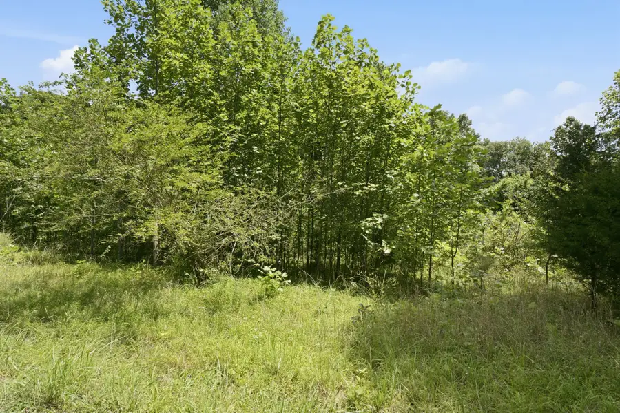 0 Trailwood Court, Joelton, TN 37080 - #2