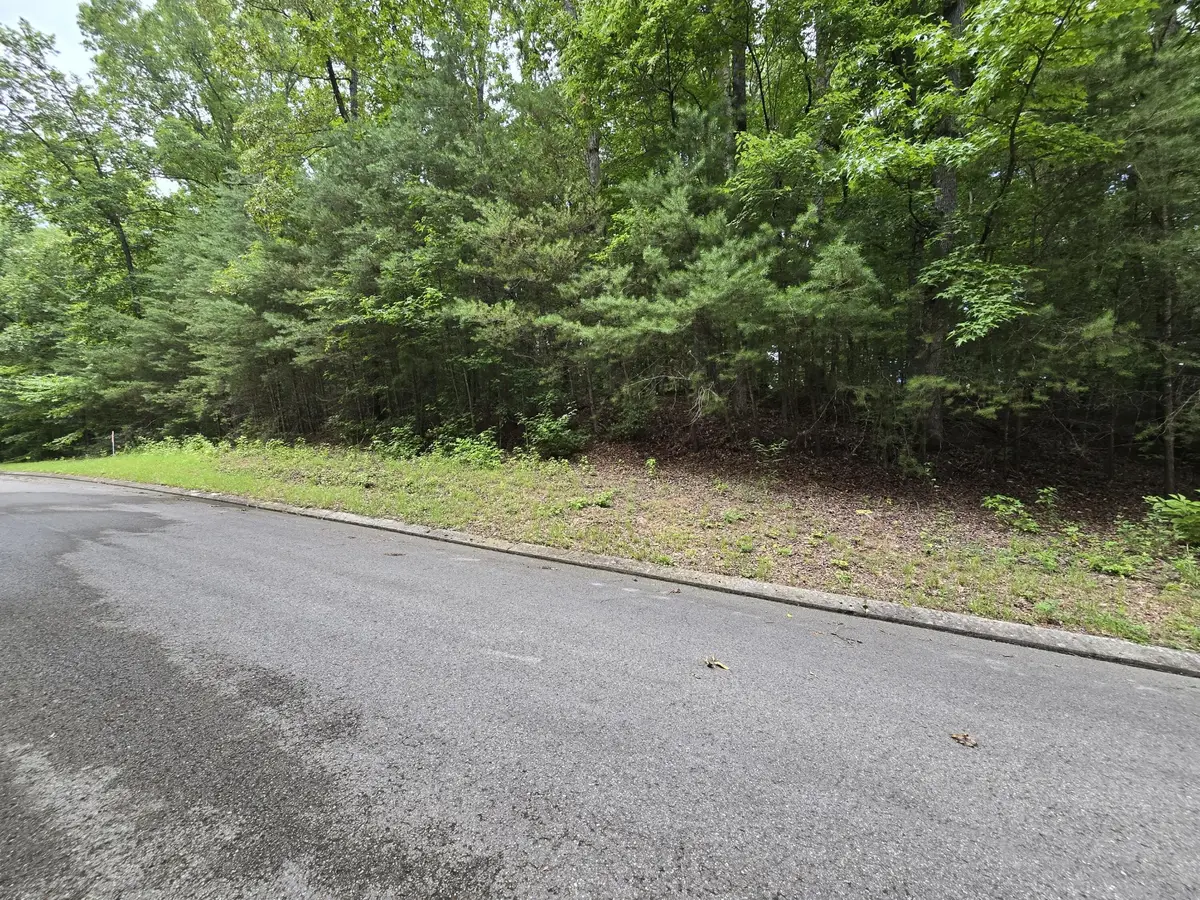 134 Lower Brow Road, Dunlap, TN 37327 - #1