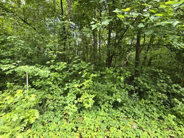 133 Lower Brow Road, Dunlap, TN 37327