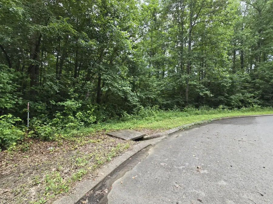 133 Lower Brow Road, Dunlap, TN 37327 - #2