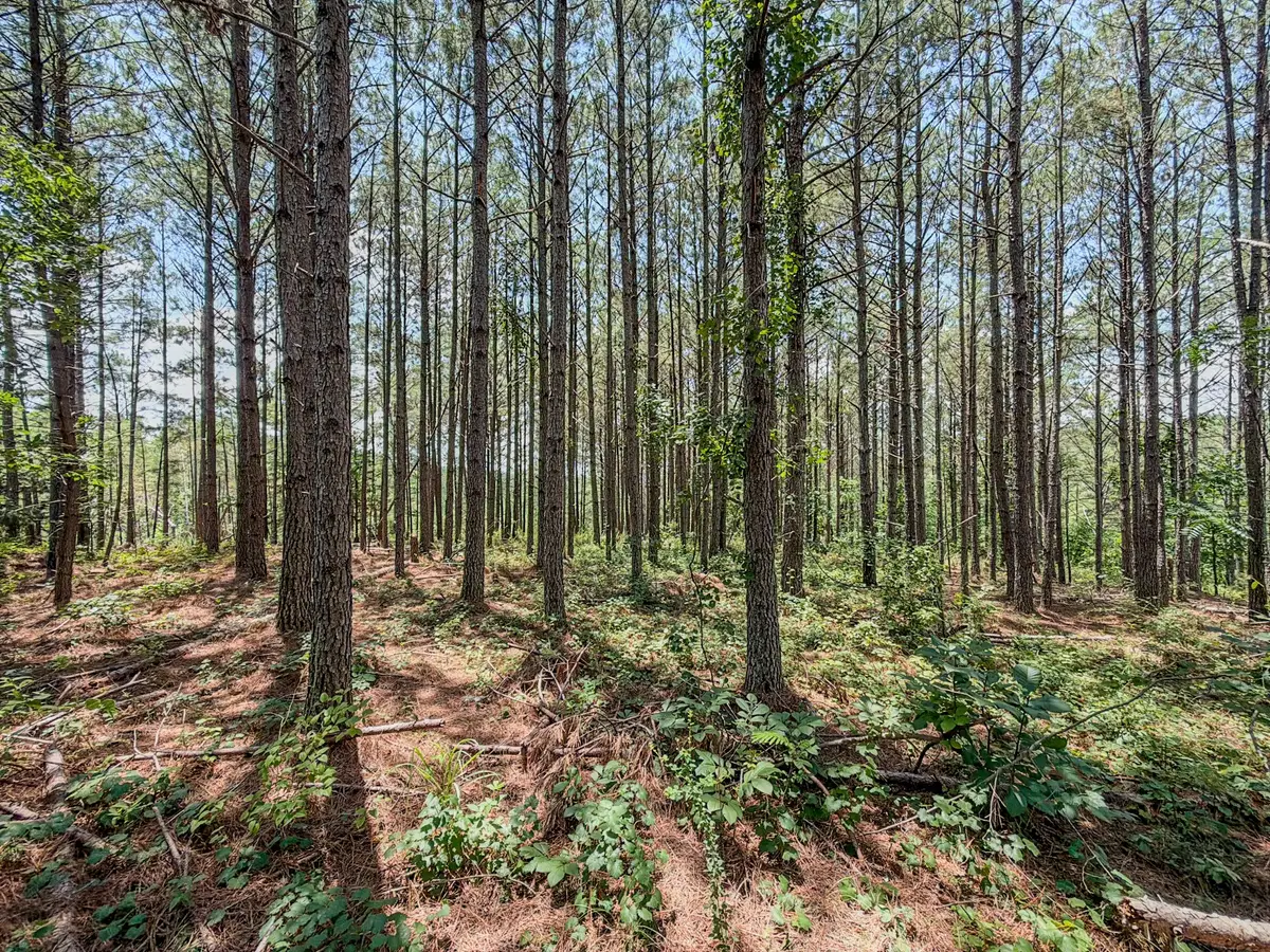 0 Big Opossum Creek Rd, Waynesboro, TN 38485 - #1