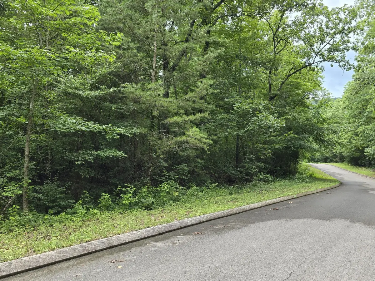 135 Lower Brow Road, Dunlap, TN 37327 - #1