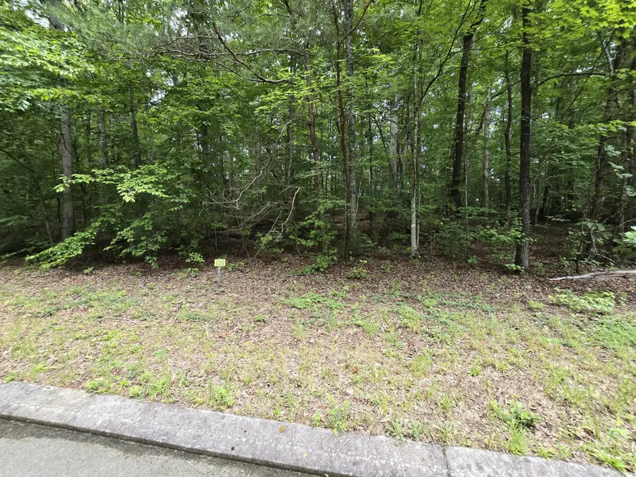 136 Lower Brow Road, Dunlap, TN 37327 - #2