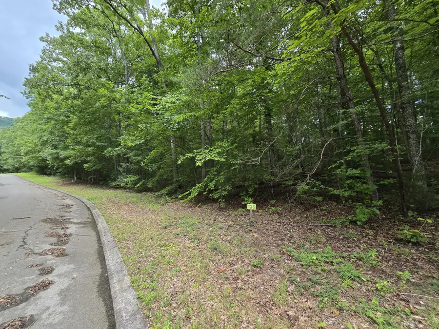 136 Lower Brow Road, Dunlap, TN 37327 - #3