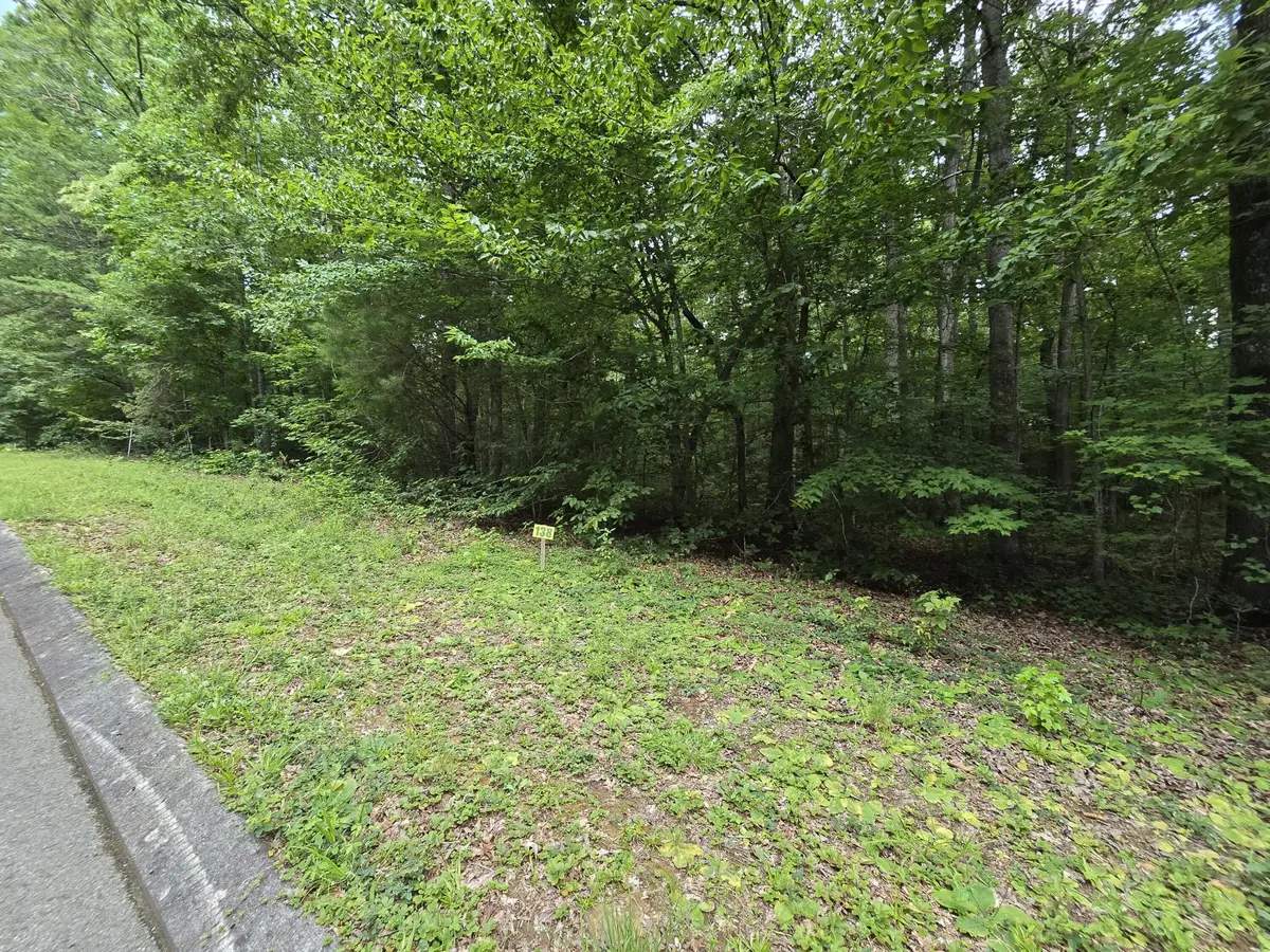 138 Lower Brow Road, Dunlap, TN 37327 - #1