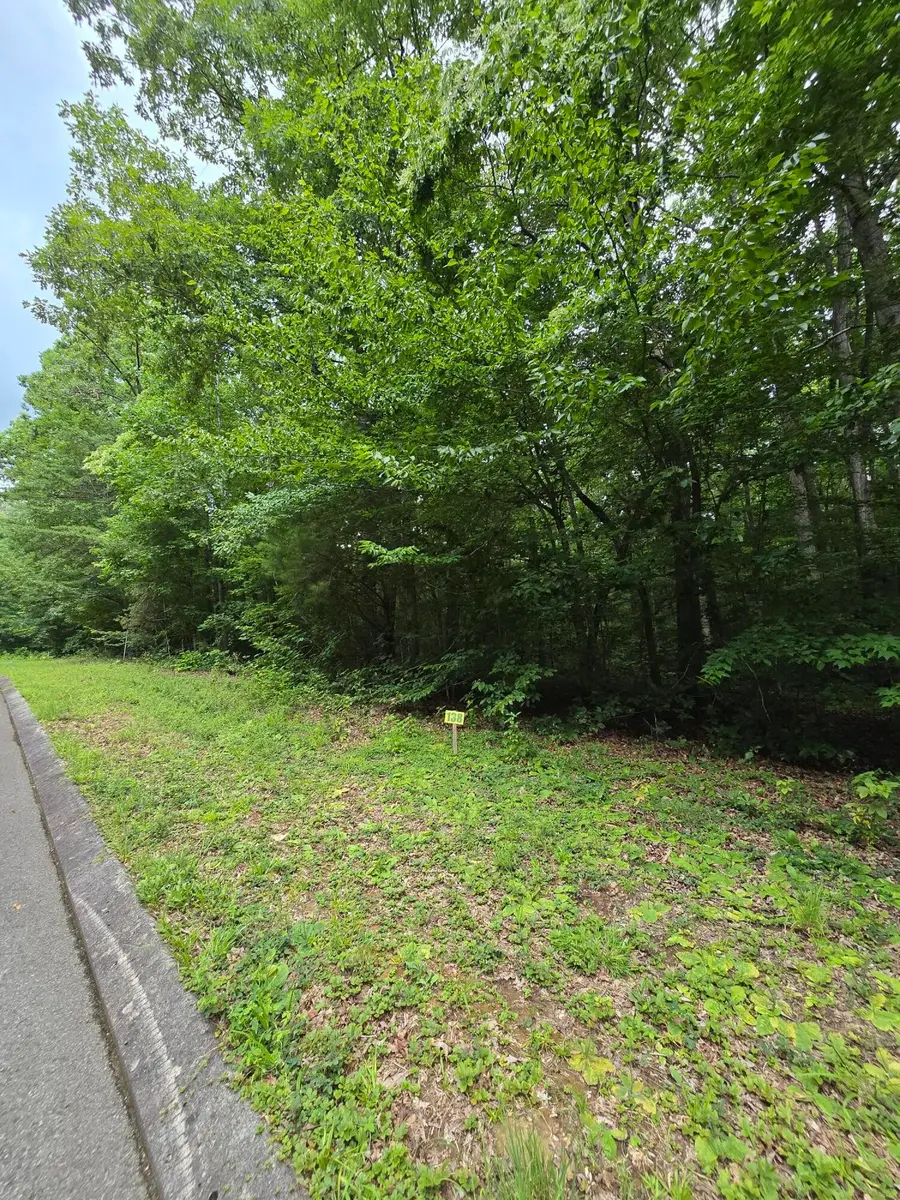 138 Lower Brow Road, Dunlap, TN 37327 - #3