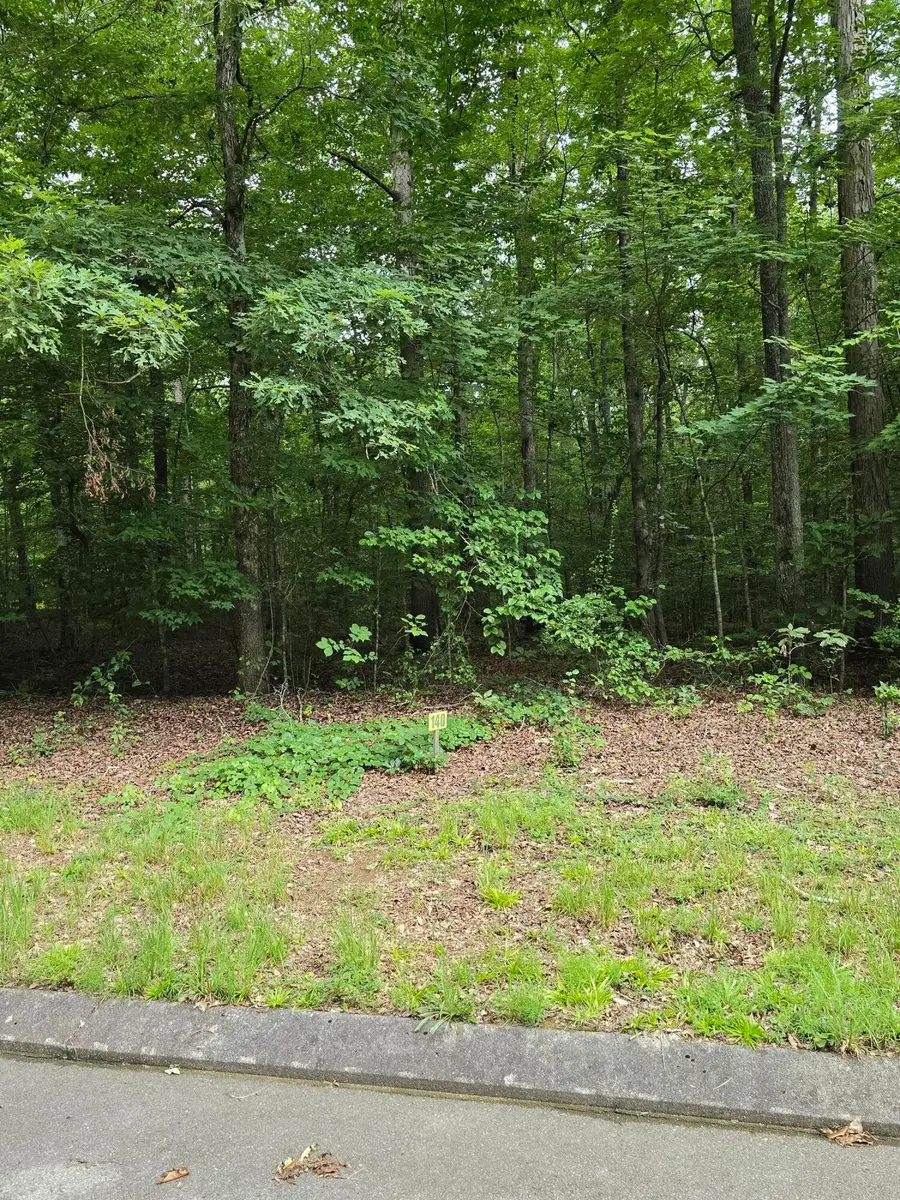 140 Lower Brow Road, Dunlap, TN 37327 - #3