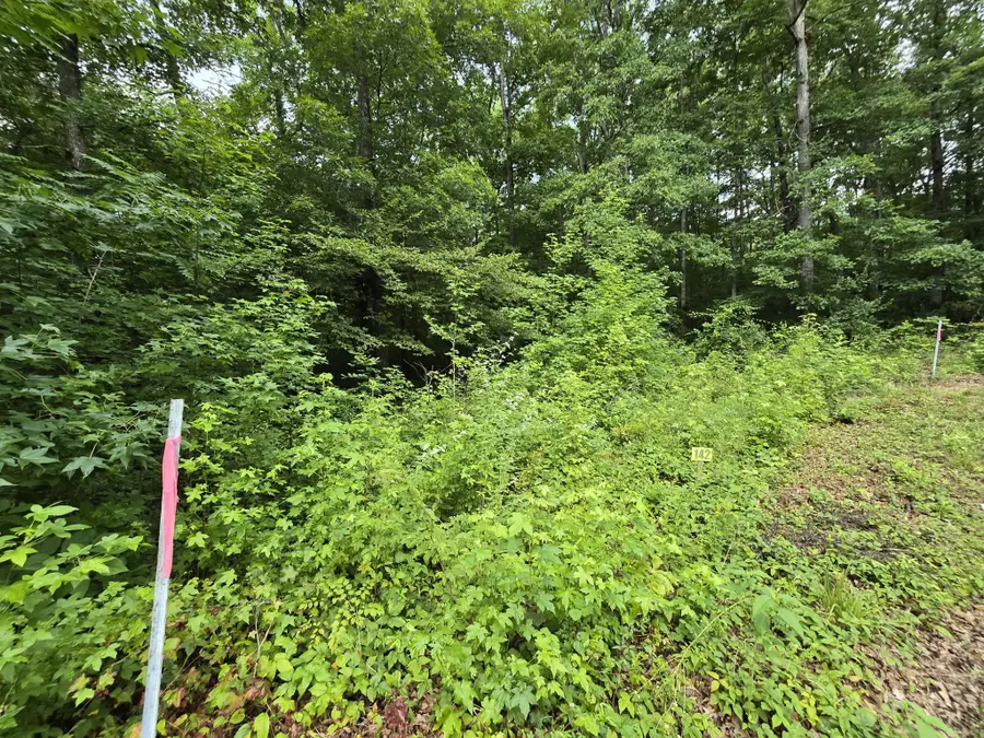 142 Lower Brow Road, Dunlap, TN 37327 - #3
