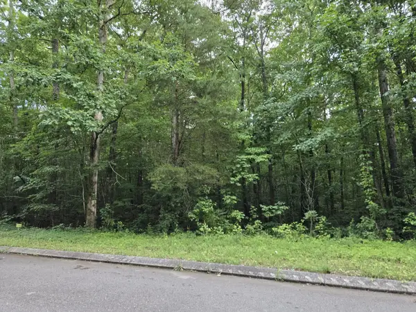 144 Lower Brow Road, Dunlap, TN 37327