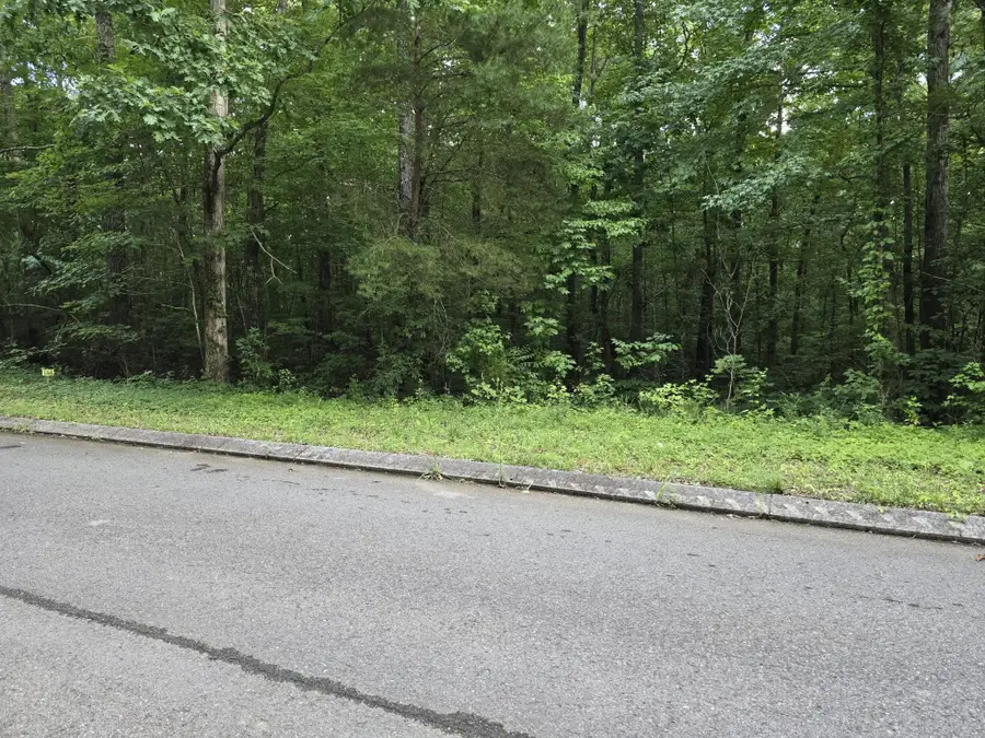 144 Lower Brow Road, Dunlap, TN 37327 - #2