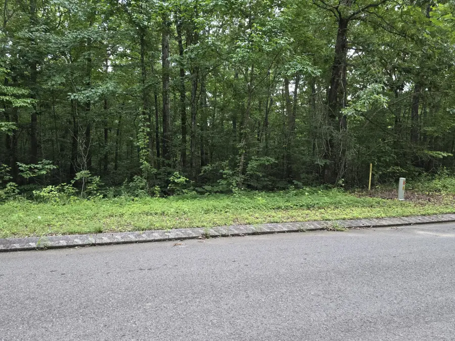 144 Lower Brow Road, Dunlap, TN 37327 - #3