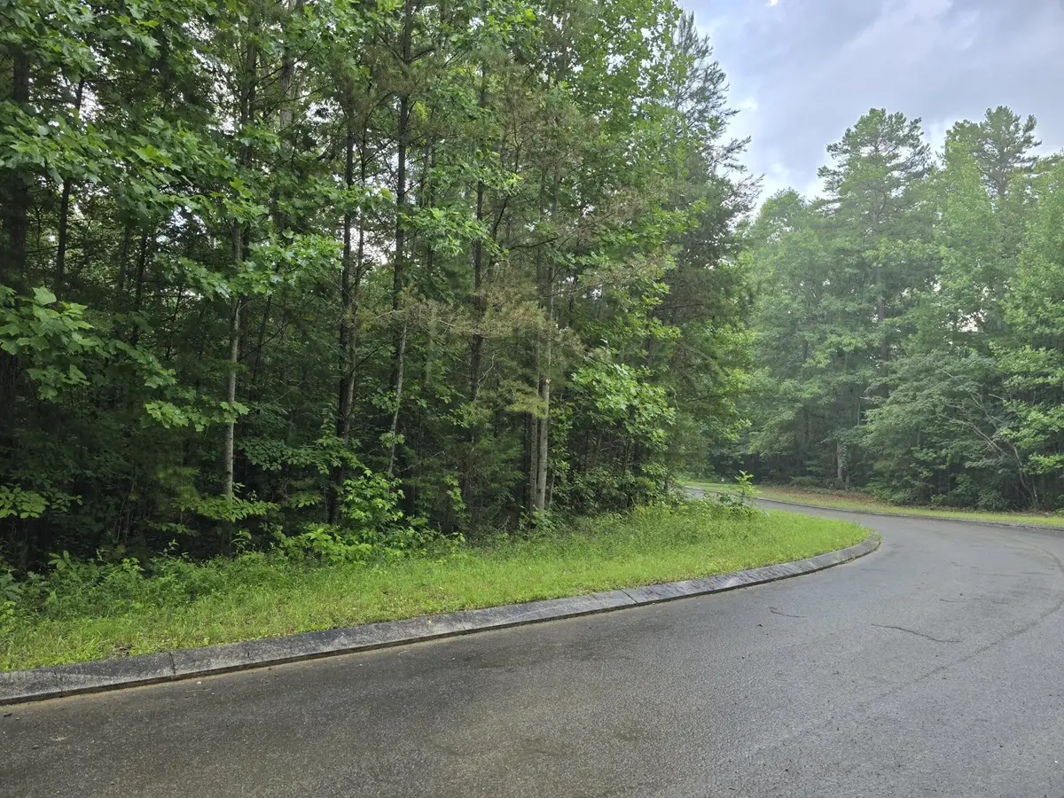 156 Lower Brow Road, Dunlap, TN 37327 - #1