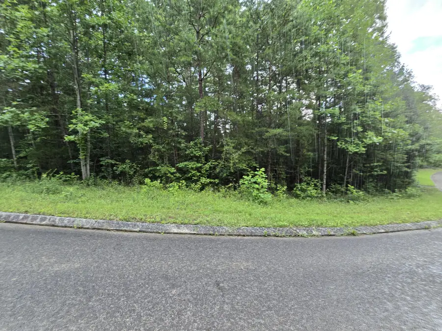 156 Lower Brow Road, Dunlap, TN 37327 - #2