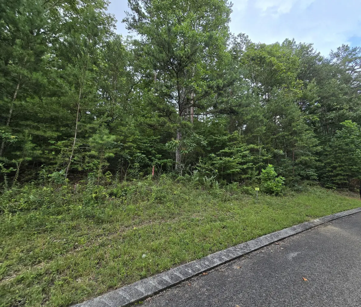 157 Lower Brow Road, Dunlap, TN 37327 - #1