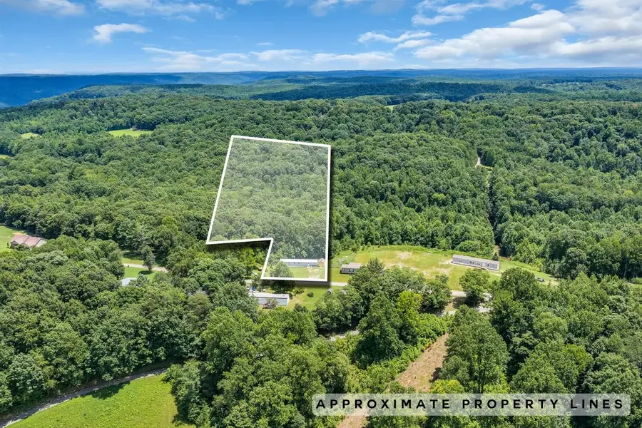 742 Captain Carter Rd, Spencer, TN 38585 - #2