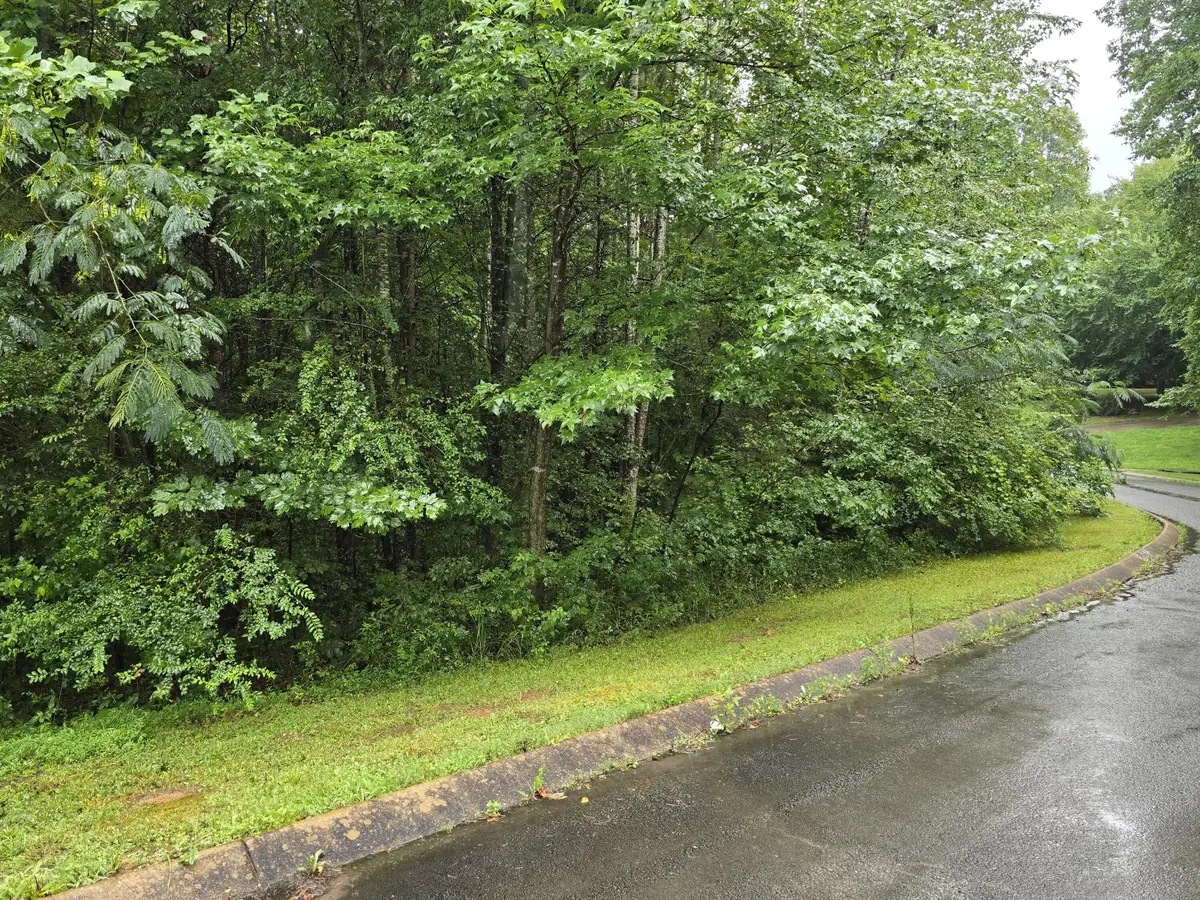0 Big Cedar Drive, Dunlap, TN 37327 - #1