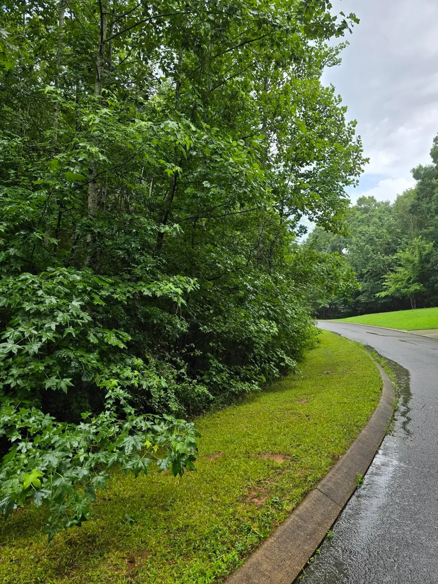 0 Big Cedar Drive, Dunlap, TN 37327 - #2