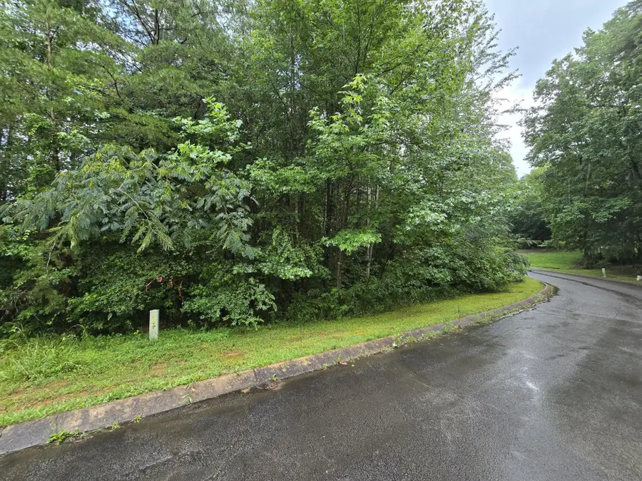 0 Big Cedar Drive, Dunlap, TN 37327 - #3
