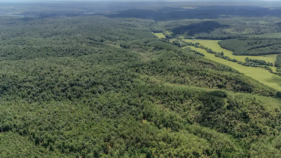 0 Big Opposum Creek Rd, Waynesboro, TN 38485 - #2