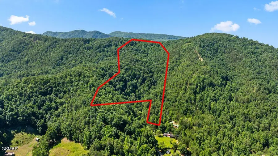 0 Boomer Way, Cosby, TN 37722 - #2