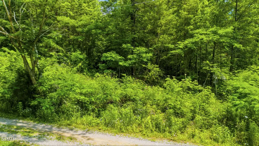 0 Boomer Way, Cosby, TN 37722 - #3
