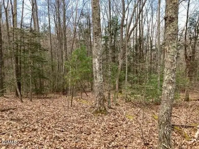 0 Dockery Branch Road, Sevierville, TN 37876 - #1