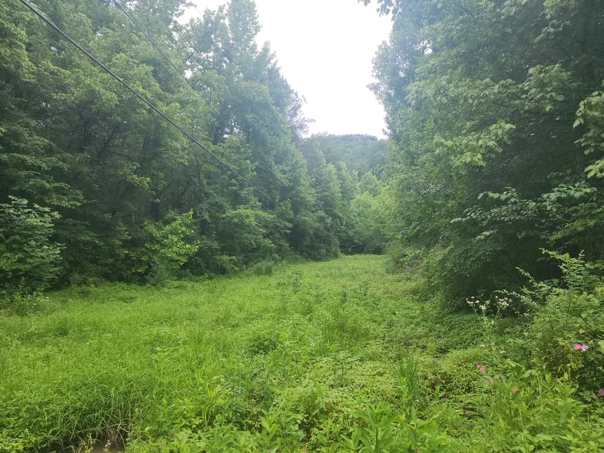 0 Rocky Flats Rd Road, Sevierville, TN 37876 - #1