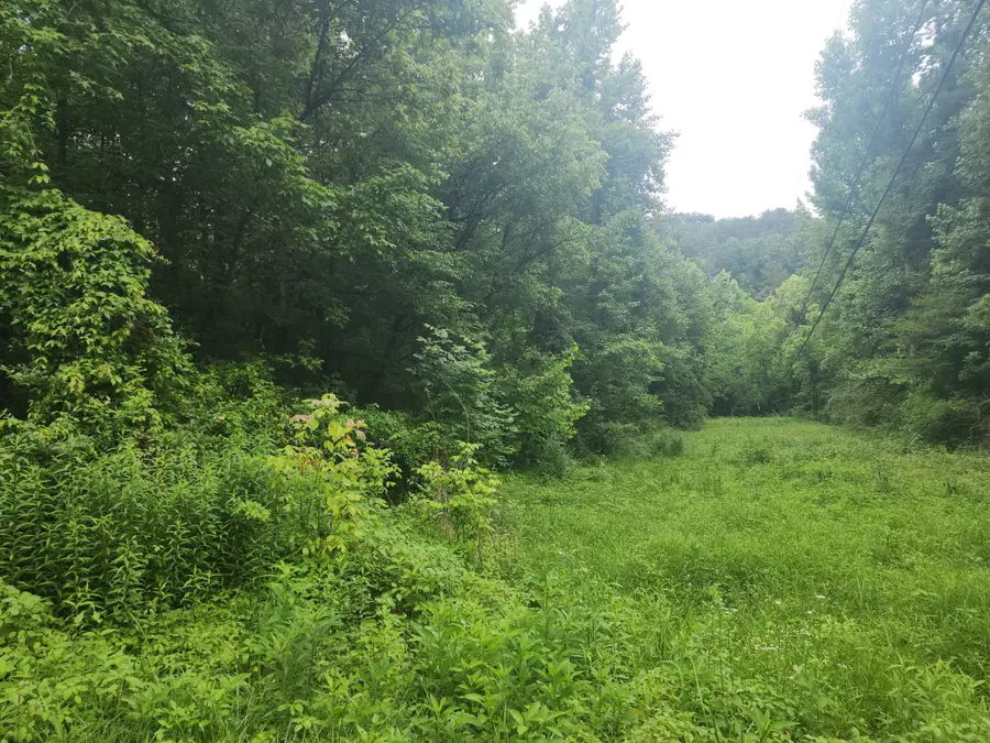 0 Rocky Flats Rd Road, Sevierville, TN 37876 - #2