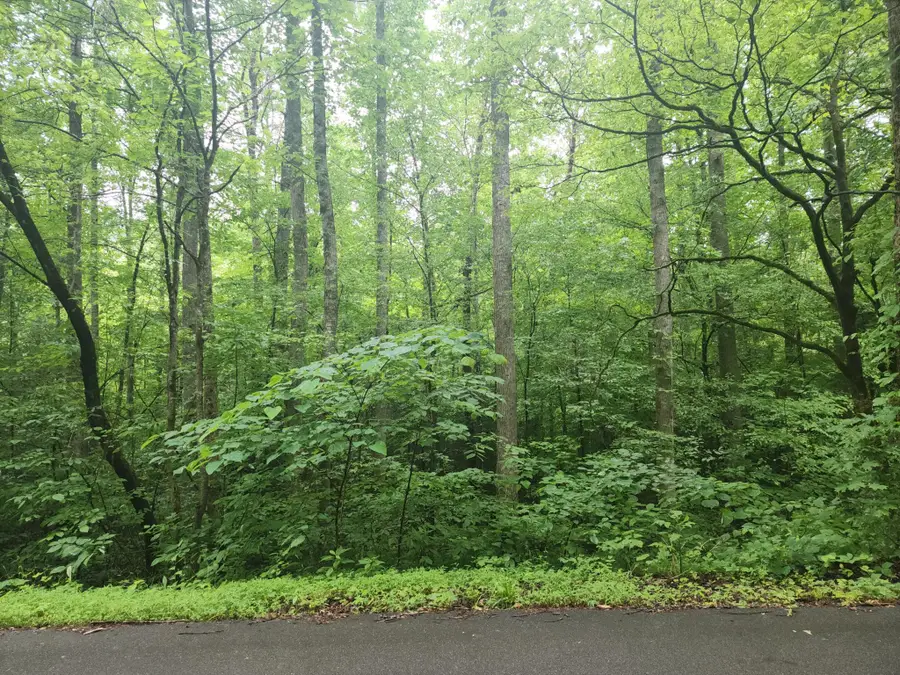 0 Rocky Flats Rd Road, Sevierville, TN 37876 - #3