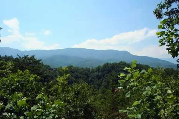 64 Vixen Run, Gatlinburg, TN 37738