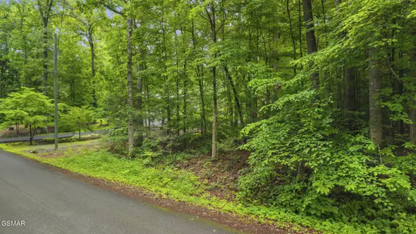 0 Peach Tree Street, Sevierville, TN 37862