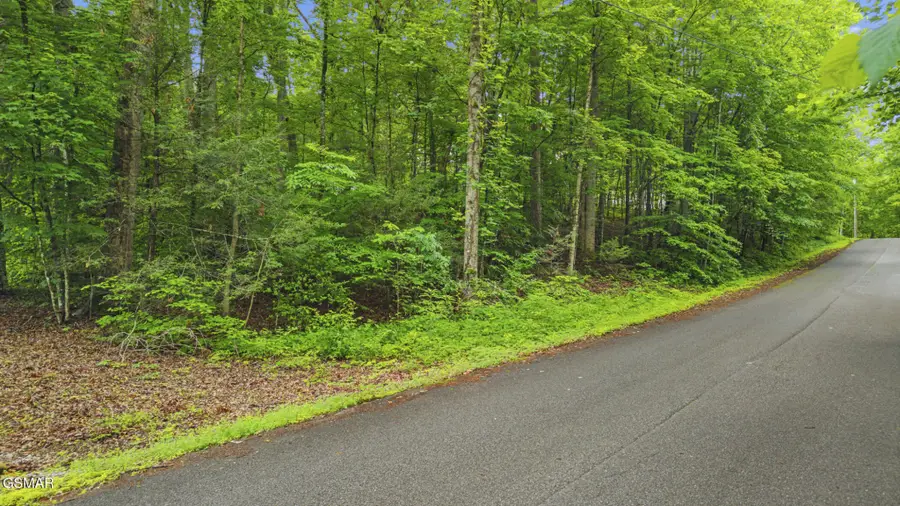 0 Peach Tree Street, Sevierville, TN 37862 - #2