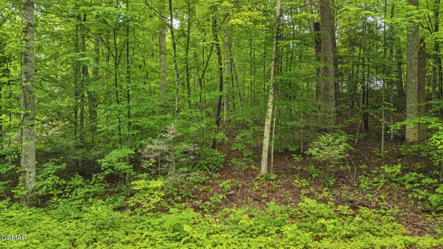 0 Peach Tree Street, Sevierville, TN 37862 - #3