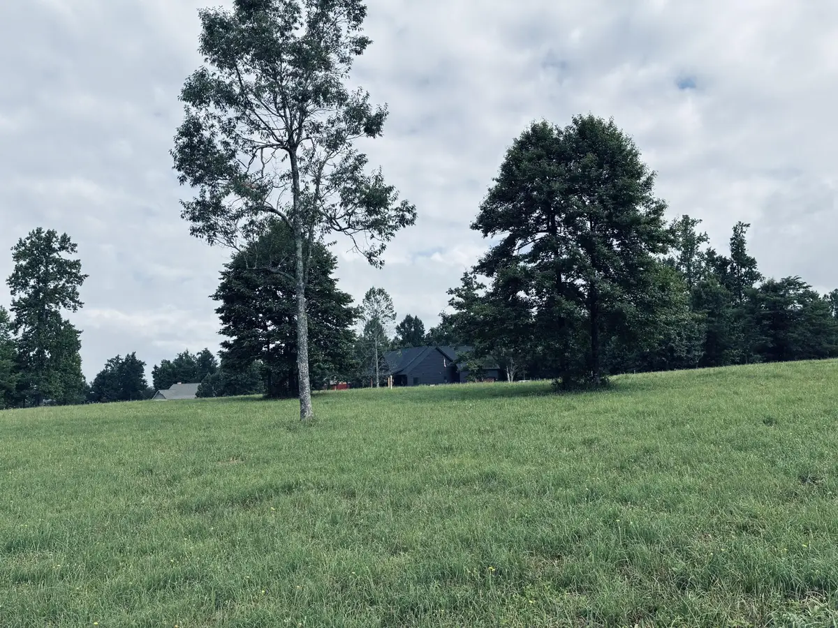 205 Raulston Falls Road, Jasper, TN 37347 - #1