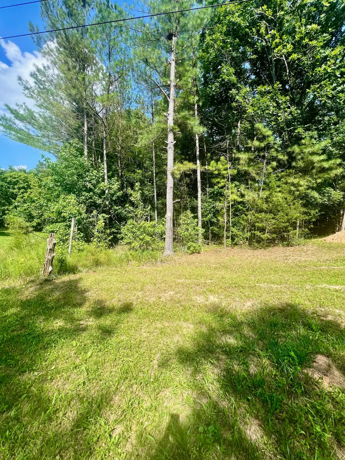 0 Old Hart Rd, Lexington, TN 38351 - #1