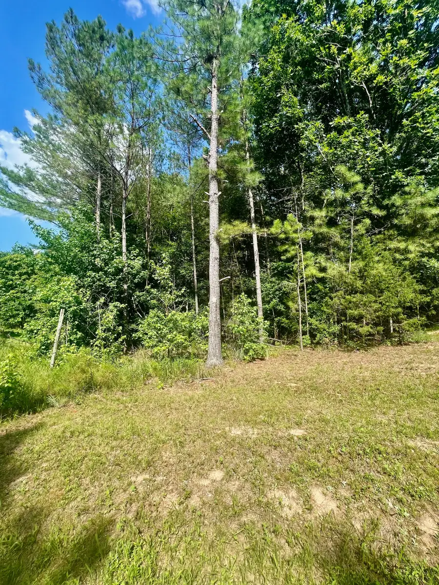 0 Old Hart Rd, Lexington, TN 38351 - #2