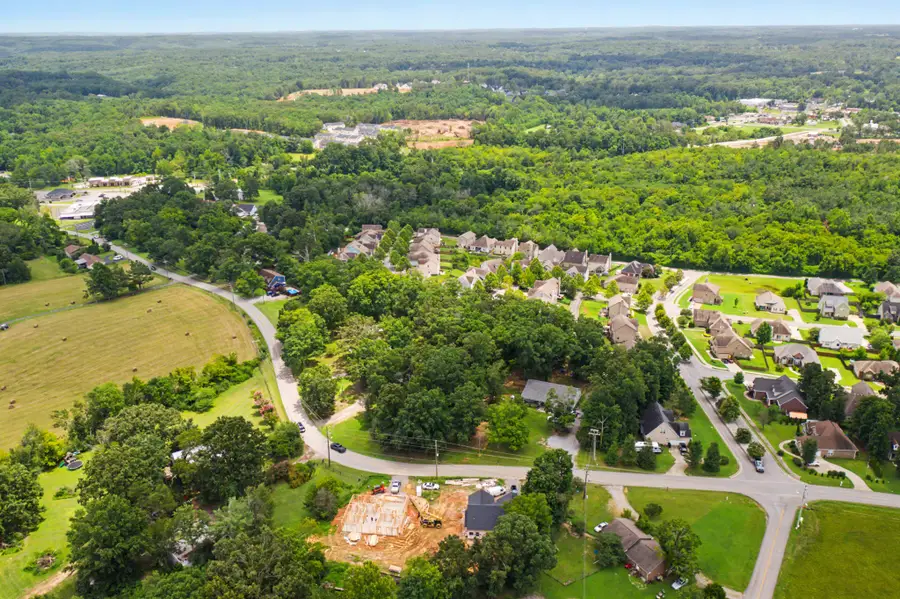 7206 Cox Pike, Fairview, TN 37062 - #2